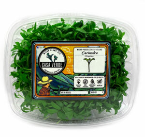 coriander-cilantro-microgreens-micropousses-montreal-vaudreuil-casa-verde-microfarm-micro-ferme-scaled-1.jpg