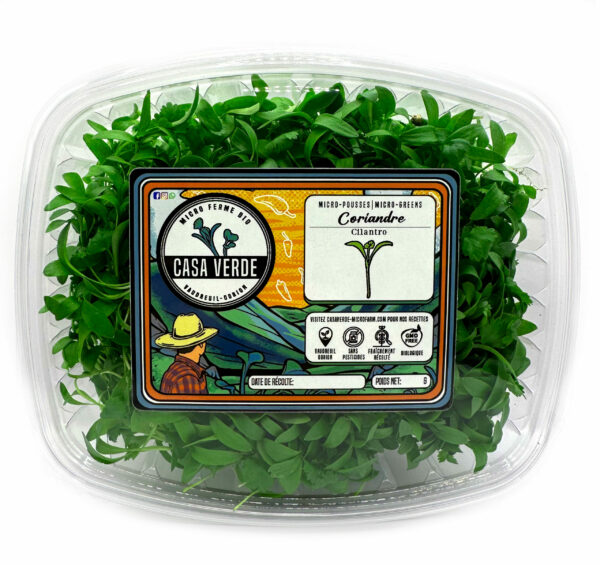 coriander-cilantro-microgreens-micropousses-montreal-vaudreuil-casa-verde-microfarm-micro-ferme-scaled-1.jpg