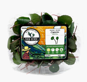 nasturtium-microgreens-casa-verde-microfarm-