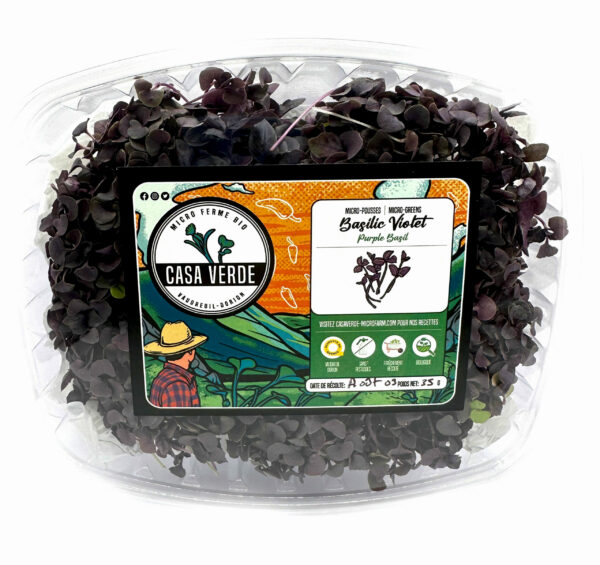 purple-basil-microgreen-casa-verde-microfarm