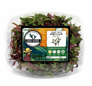 swiss-chard-microgreens-casa-verde-microfarm-